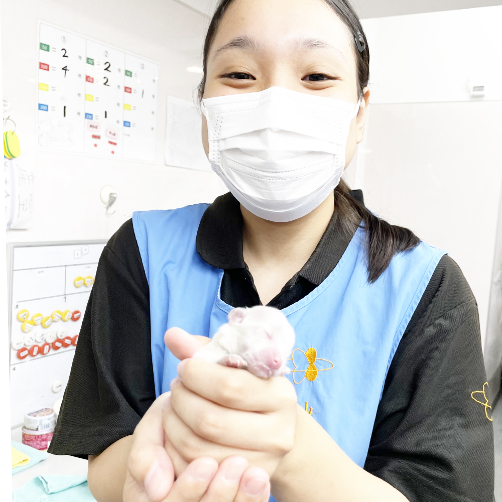 ２年生は子犬、１年生は成犬のお世話☆